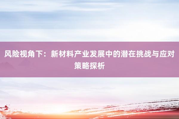 风险视角下：新材料产业发展中的潜在挑战与应对策略探析