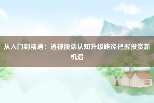 从入门到精通：透视股票认知升级路径把握投资新机遇