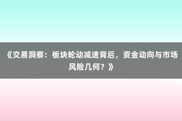 《交易洞察：板块轮动减速背后，资金动向与市场风险几何？》