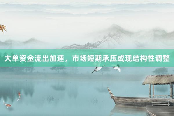 大单资金流出加速，市场短期承压或现结构性调整