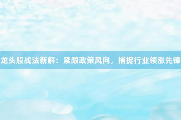 龙头股战法新解：紧跟政策风向，捕捉行业领涨先锋