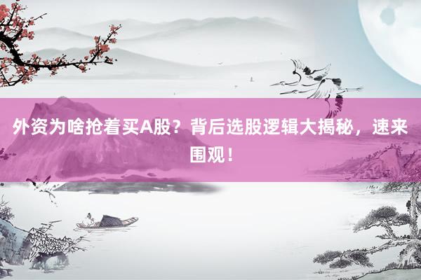 外资为啥抢着买A股？背后选股逻辑大揭秘，速来围观！