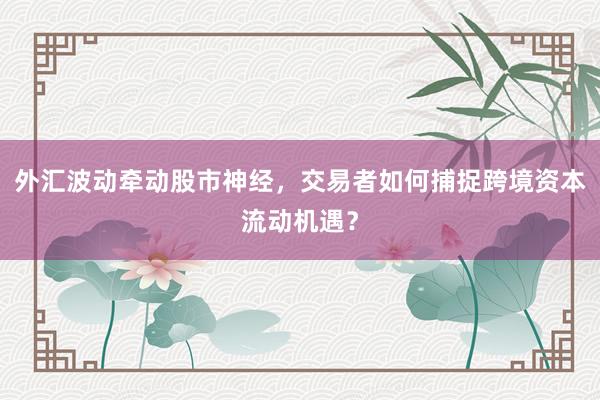 外汇波动牵动股市神经，交易者如何捕捉跨境资本流动机遇？
