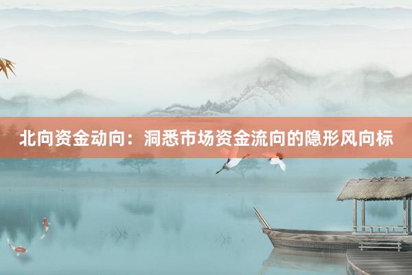 北向资金动向：洞悉市场资金流向的隐形风向标