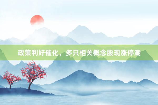 政策利好催化，多只相关概念股现涨停潮