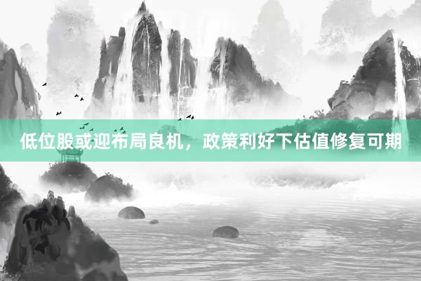 低位股或迎布局良机，政策利好下估值修复可期