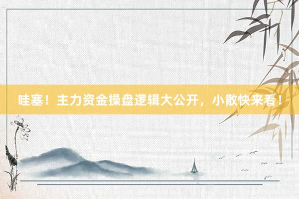 哇塞！主力资金操盘逻辑大公开，小散快来看！