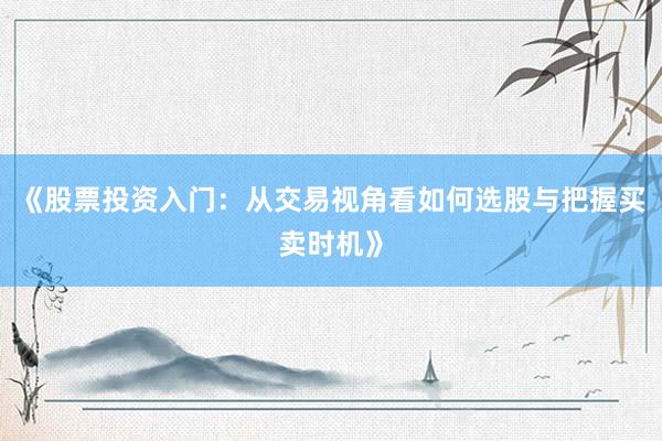 《股票投资入门：从交易视角看如何选股与把握买卖时机》