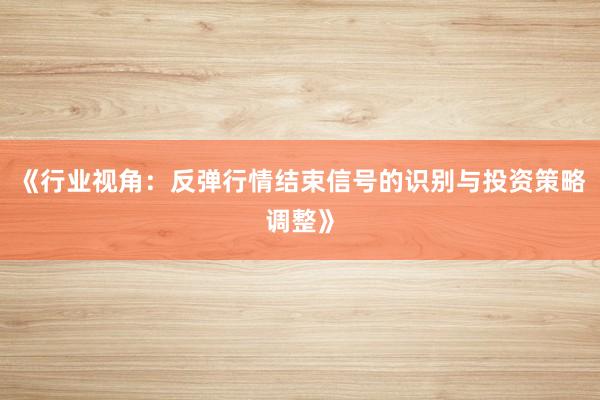 《行业视角:反弹行情结束信号的识别与投资策略调整》