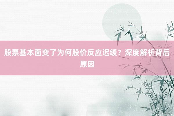 股票基本面变了为何股价反应迟缓？深度解析背后原因